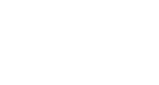 Logo: The Ye11ow Studio